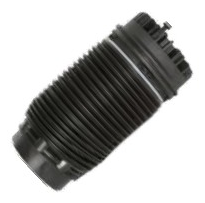 Dodge Air Spring — 1