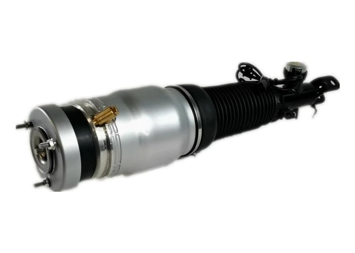 Hyundai Air Suspension Strut — 1