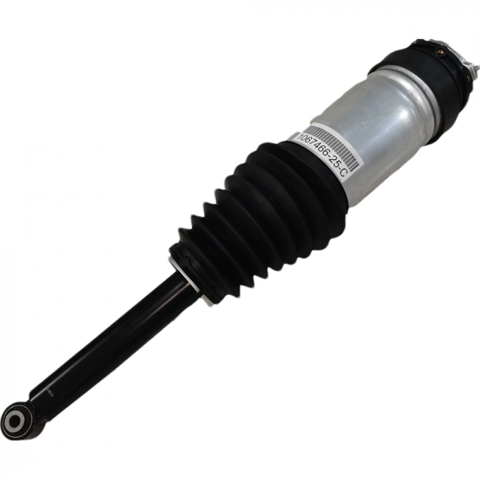 Tesla Air Suspension Strut — Product photograph 2